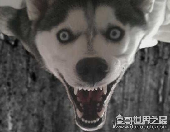 恐怖谷理论恐怖的原理解析，机器变成人引发的恐慌