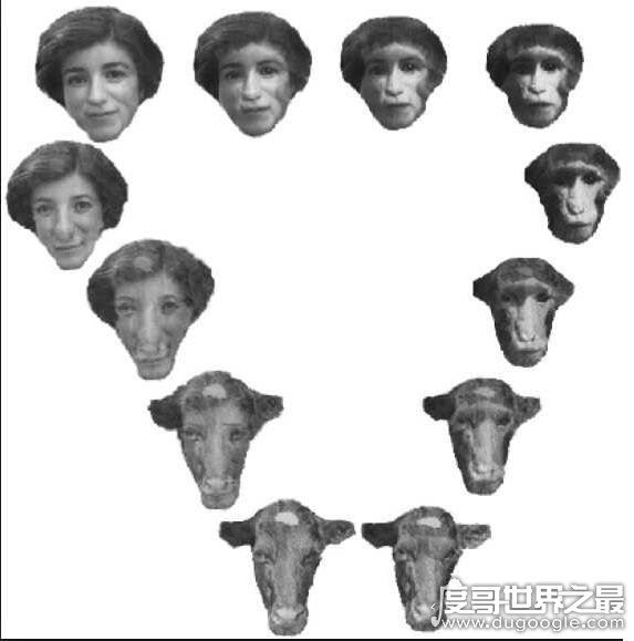 恐怖谷理论恐怖的原理解析，机器变成人引发的恐慌