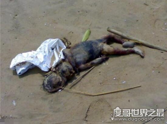 海猴子和水猴子的区别,水猴子图片看着真恐怖(内附图片)