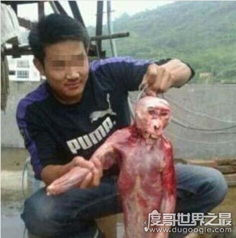 海猴子和水猴子的区别，水猴子图片看着真恐怖(内附图片)