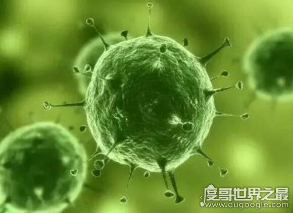 世界上最小的生物，在4.8公里深海处发现的微生物(比细菌还小)