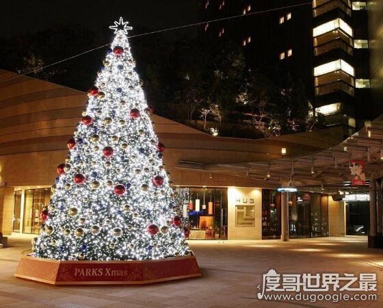 圣诞树是什么树，经过装饰的常青树(松柏类的树比较常见)