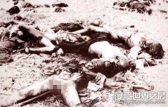 红色高棉大屠杀，数百万人惨死于极端政策之下