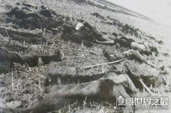 红色高棉大屠杀，数百万人惨死于极端政策之下