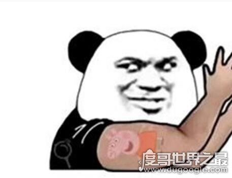 小猪佩奇身上纹是什么梗,小猪佩奇是现在社会人的标配