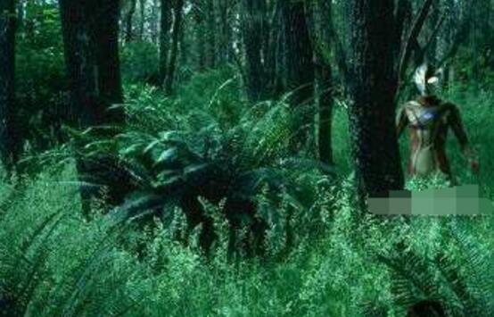 世界上有人拍到奥特曼真实图,真奥特曼的3次目击事件