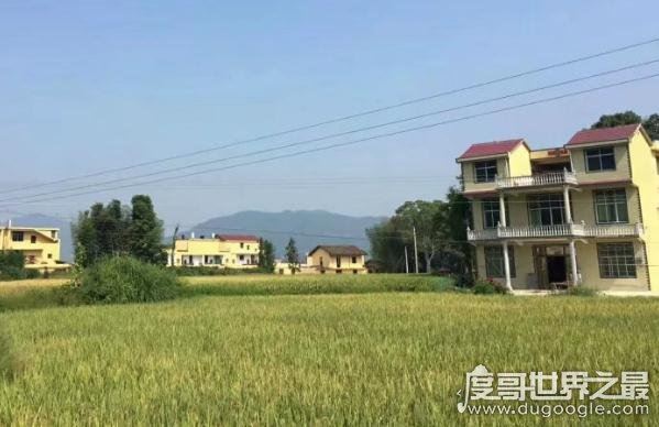 农村老话“三大宝”“四大苦”“四大喜”“四大绿”