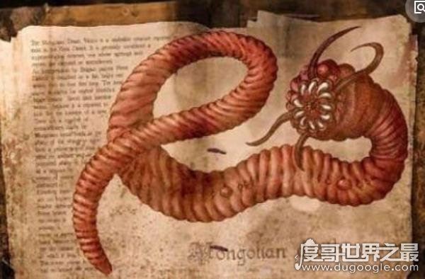 蒙古死亡之虫疑真实存在,探险家远赴蒙古戈壁追寻神秘肠虫
