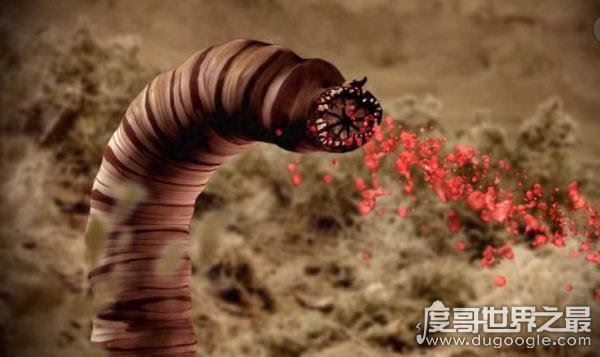 蒙古死亡之虫疑真实存在,探险家远赴蒙古戈壁追寻神秘肠虫