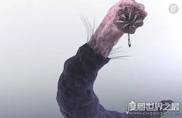 蒙古死亡之虫疑真实存在，探险家远赴蒙古戈壁追寻神秘肠虫