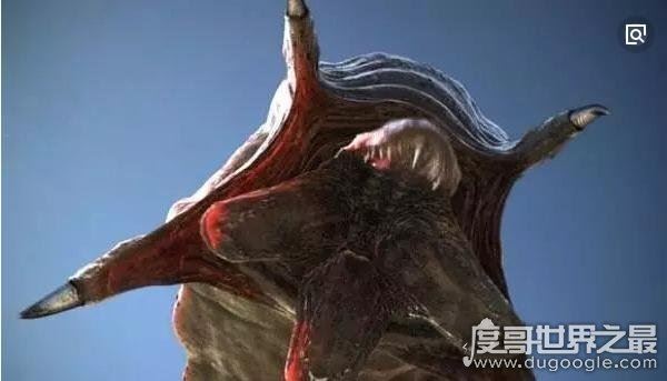 蒙古死亡之虫疑真实存在，探险家远赴蒙古戈壁追寻神秘肠虫
