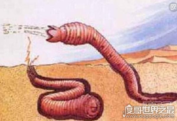 蒙古死亡之虫疑真实存在,探险家远赴蒙古戈壁追寻神秘肠虫