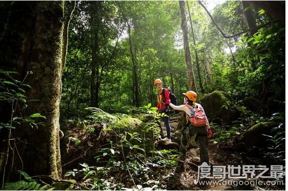 驴友是什么意思，通常指那些爱好自主旅游的人(驴友是旅游谐音)