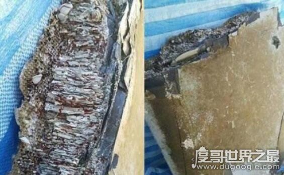 马航mh370找到了吗，失联4年只找到了些许的飞机残骸