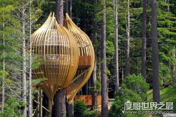 盘点世界上最奇葩的十大餐厅,中国的悬崖餐厅(放翁餐厅)上榜