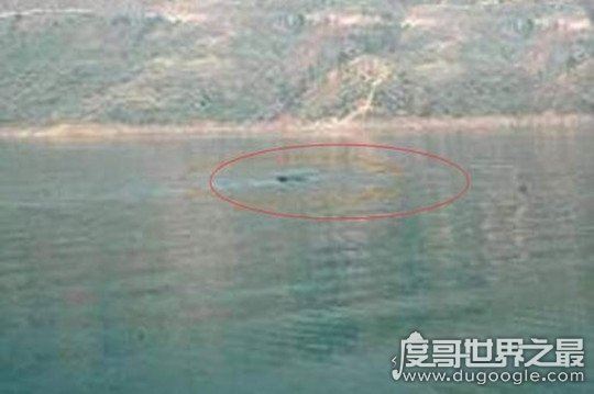 贵州六盘水水怪真相之谜,身长十米能掀翻货船(附现场视频)