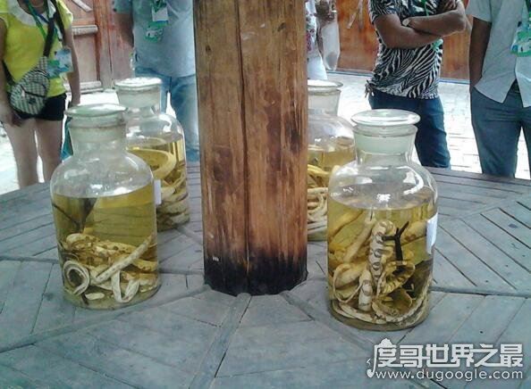 苗族下蛊的神奇之处，告诉你如何防范和辨认蛊毒