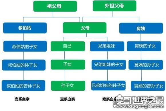直系亲属包括哪些,配偶、父母、子女等(直接血缘或婚姻关系)