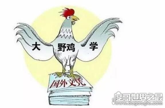 野鸡大学是什么意思,就是指以骗钱为目的假学校(文凭不被承认)