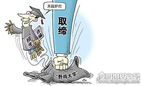 野鸡大学是什么意思，就是指以骗钱为目的假学校(文凭不被承认)