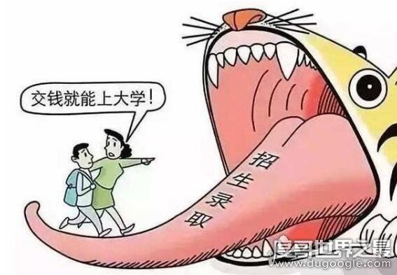 野鸡大学是什么意思,就是指以骗钱为目的假学校(文凭不被承认)