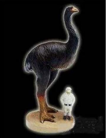 14种远古巨兽大复活，恐鸟/上龙/泰坦蟒都在名单之中