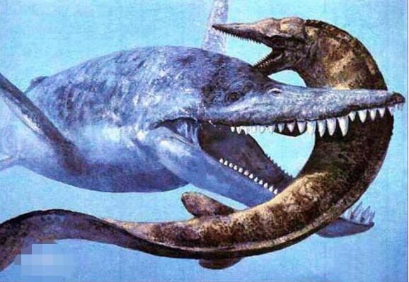 14种远古巨兽大复活，恐鸟/上龙/泰坦蟒都在名单之中