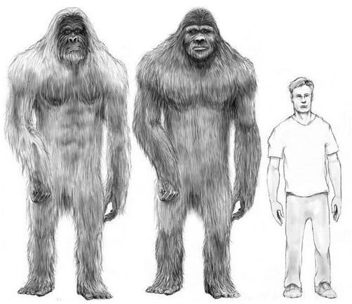 14种远古巨兽大复活，恐鸟/上龙/泰坦蟒都在名单之中