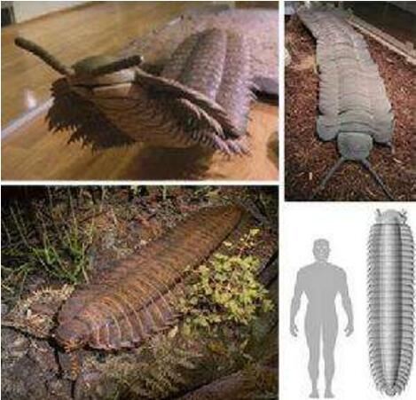 14种远古巨兽大复活，恐鸟/上龙/泰坦蟒都在名单之中