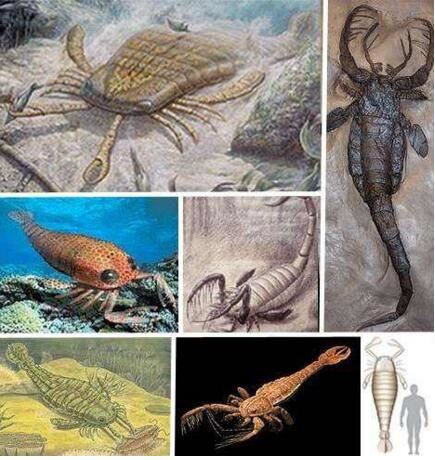 14种远古巨兽大复活，恐鸟/上龙/泰坦蟒都在名单之中