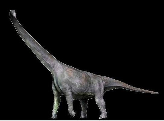 14种远古巨兽大复活，恐鸟/上龙/泰坦蟒都在名单之中