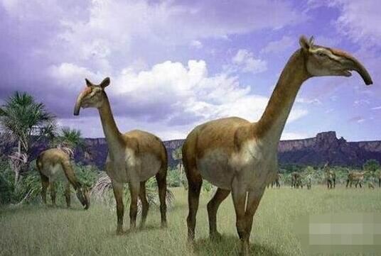 14种远古巨兽大复活，恐鸟/上龙/泰坦蟒都在名单之中