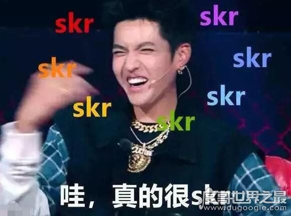 skr是什么意思?skr是什么梗?(模仿摩托车刹车声的拟声词)