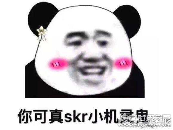 skr是什么意思？skr是什么梗？(模仿摩托车刹车声的拟声词)