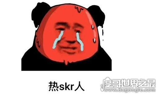 skr是什么意思？skr是什么梗？(模仿摩托车刹车声的拟声词)