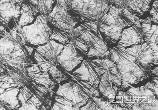 三年自然灾害死了多少人，说饿死几千万人的纯属谣言