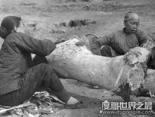 三年自然灾害死了多少人，说饿死几千万人的纯属谣言