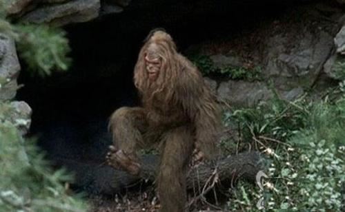 神农架野人真的存在吗，有多少人（有科学依据吗）