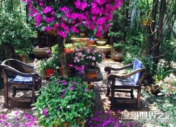 杨丽萍月亮宫私宅曝光，真正的“面朝大海 春暖花开”(美哭了)