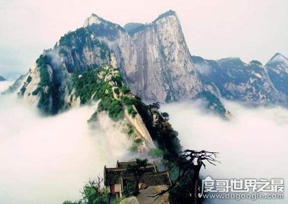广州有什么好玩的地方,盘点广州最好玩的五个地方