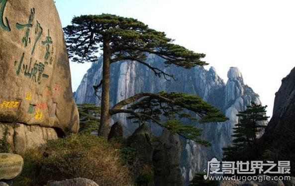 中国四大名山简介，望庐山瀑布一定要去看