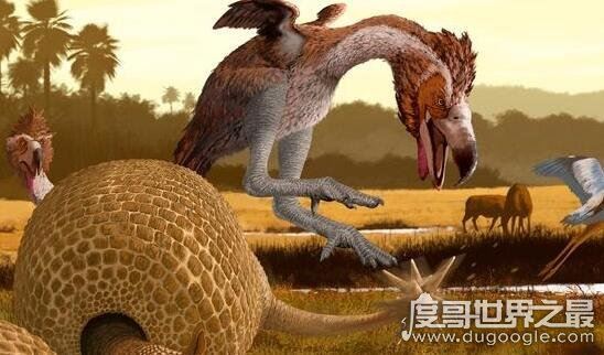 史上最大的鸟类，骇鸟灭绝的原因(食物链顶端)