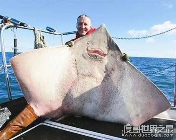 世界十大最奇特的鱼，喷火鱼能喷出3米长火焰