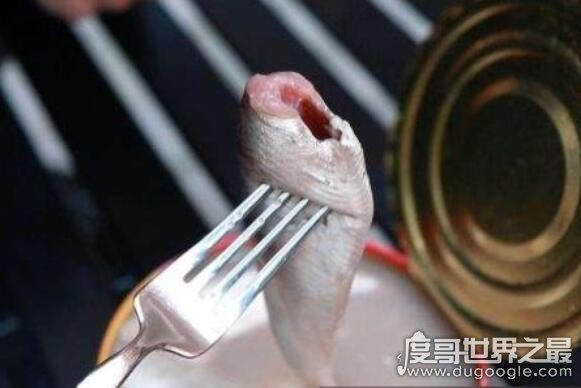 瑞典鲱鱼罐头为什么这么臭，鲱鱼在特殊细菌下自然发酵