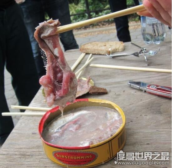 瑞典鲱鱼罐头为什么这么臭，鲱鱼在特殊细菌下自然发酵