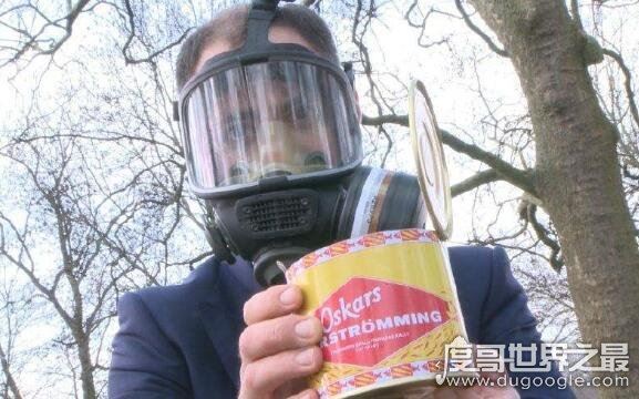 瑞典鲱鱼罐头为什么这么臭，鲱鱼在特殊细菌下自然发酵