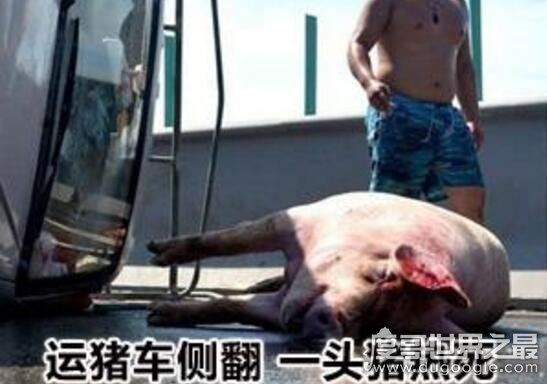 最新中国三大火炉城市，重庆/福州/杭州(武汉南京退出)