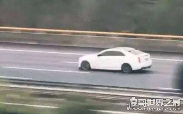 白色凯迪拉克追高铁事件,小伙为爱追高铁(真相可能是广告)