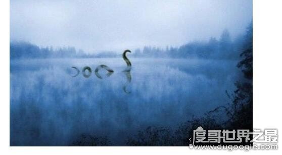 传闻中的尼斯湖水怪图片,真相已被揭开(疑似巨型鳗鱼)