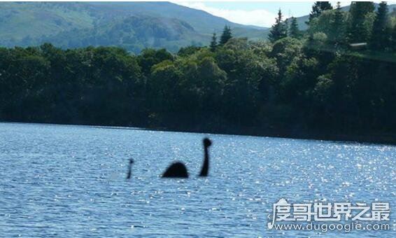 传闻中的尼斯湖水怪图片,真相已被揭开(疑似巨型鳗鱼)
